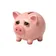 CASHPIGGY