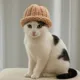 CWH