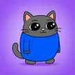 smolcat Wallet