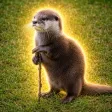 Portefeuille The Wise Otter