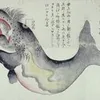 Kujira 鯨