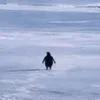 Justice for Penguin