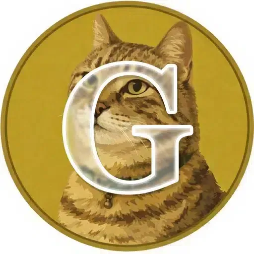 GINCHAN token on Solana