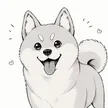 Koro 钱包