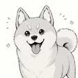 Koro 钱包
