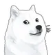 WHITEDOGE