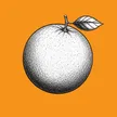 Orange Coin 钱包