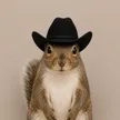 squirrelwifhat 錢包