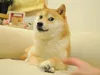 Dogecoin by Billy Markus
