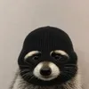 coonwifmask