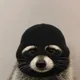 BANDIT
