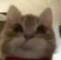 jeff