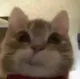 JEFF