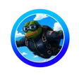 Monedero de AIRFROG