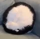 COINCAT