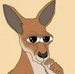 Ruru The Kangaroo Wallet