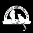 Billetera Wildlife Wonderland