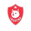 FIRST CRYPTO FOOTBALL CLUB