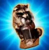 Raccoon On Wheels