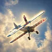Billetera Granny On Plane