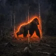 Кошелек KING KONG