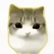 محفظة Dam Dam Didi Didi Cat
