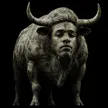 Monedero de The Cash Bull