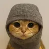 Sock And Pussy 500