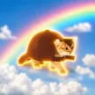 Turtle cat 钱包