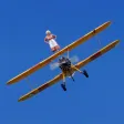 Monedero de The Flying Fossil