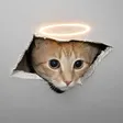 Portefeuille Ceiling Cat