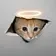 CEICAT