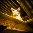 Nong The Cat 钱包
