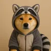 Jimothy The Inucoon