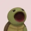 Billetera Popturtle