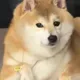 BAKA