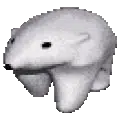 ‌Ví frank the polar bear