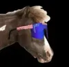 Flying Ketamine Horse