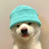 dogwifhat