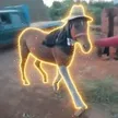 Dompet Horse In Pants
