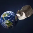 Portefeuille world licking cat