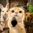 Animals Wif Guns Wallet