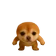 LIL