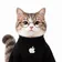 iCat