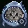 sharkcat