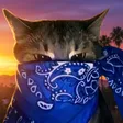 crimecat Wallet