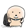 NAMSEE