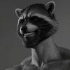 Giga Raccoon