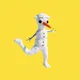 SNOWBOO