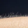 Billetera Literal Chills